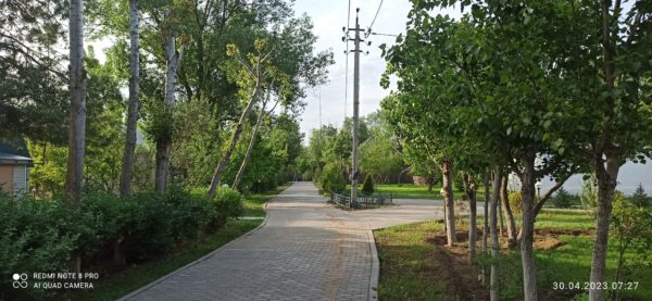 гостевые
