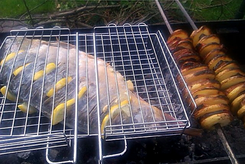 Процесс приготовления карпа на мангале