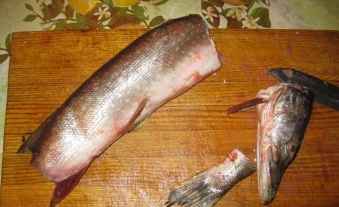 Рецепт приготовления вкусного шашлыка из щуки