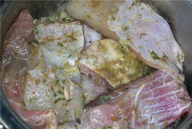 Рецепт приготовления вкусного шашлыка из толстолобика