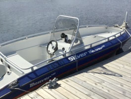 SILVER BEAVER